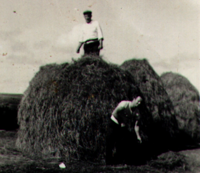 Jack Coyle on a haystack. 1966