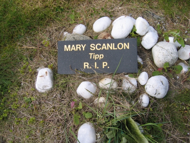 Scanlon Mary